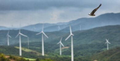 Turbinas de viento amenazan un paisaje sereno