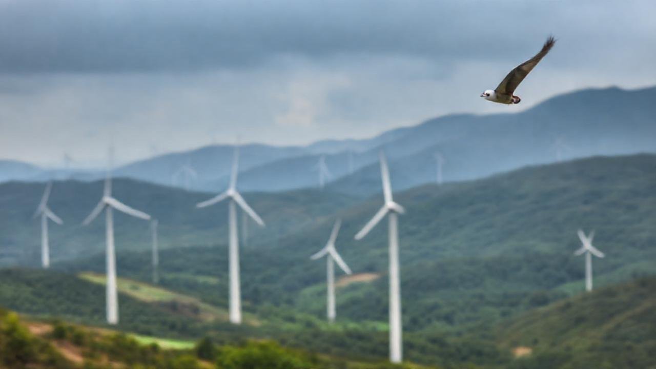 Turbinas de viento amenazan un paisaje sereno