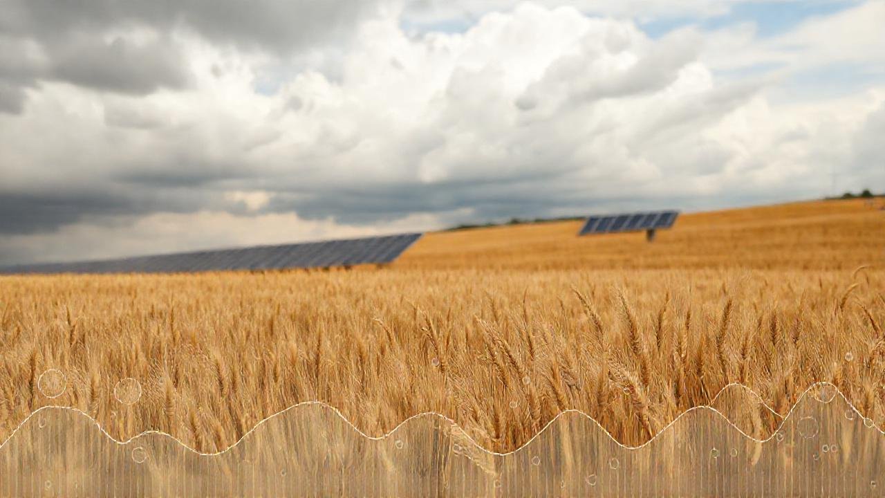 Panorámica seca: energía renovable y clima