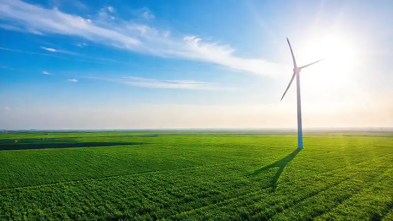 Turbina eólica en un campo vibrante