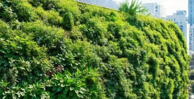 Jardín vertical moderno genera energía solar