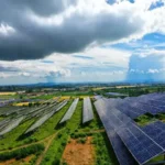 Paneles solares iluminan un futuro sostenible