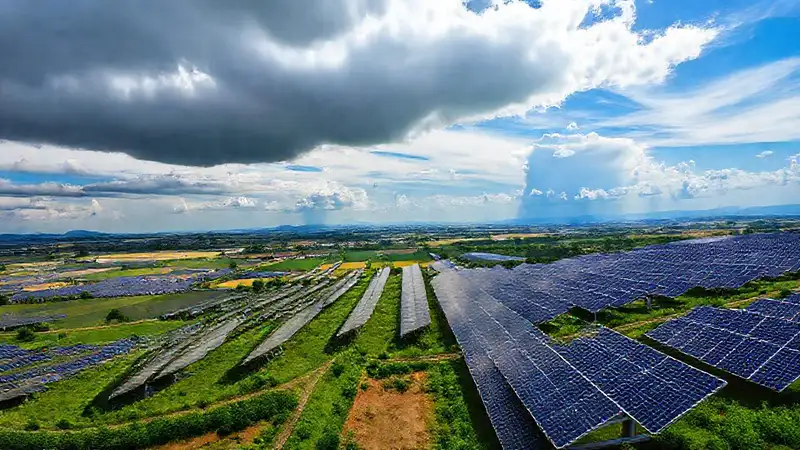 Paneles solares iluminan un futuro sostenible