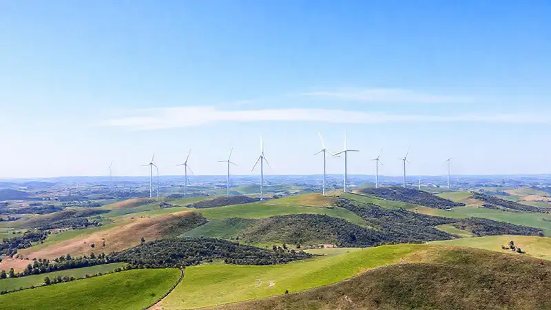 Turbinas eólicas generan energía limpia y moderna