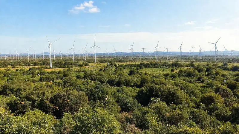 Turbinas eólicas crean un paisaje sostenible