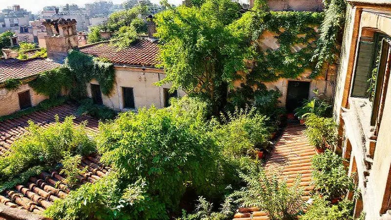 Un edificio histórico florece en la luz