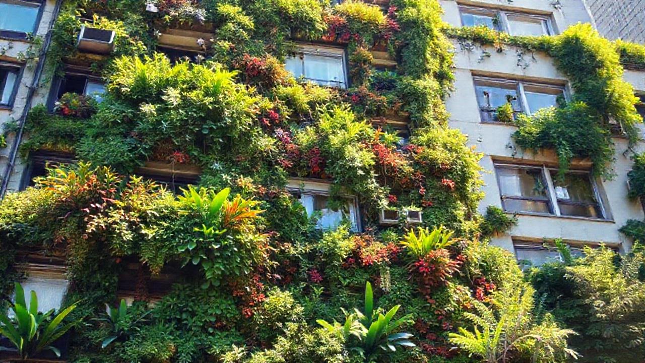 Muros verdes reducen el calor urbano