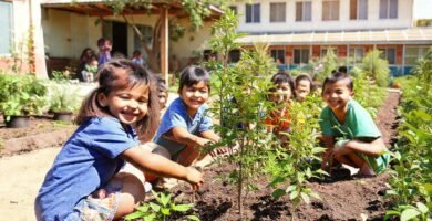 Niños plantan esperanza en un jardín