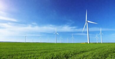 Turbinas eólicas generan energía limpia y esperanzadora