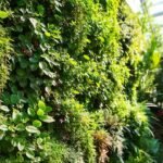 Jardín vertical ofrece belleza y color