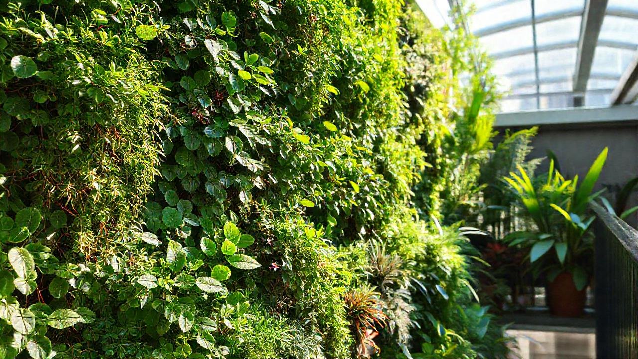 Jardín vertical ofrece belleza y color