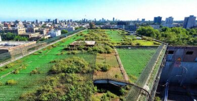 Un tejado verde protege la ciudad