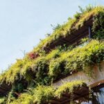 Un diseño moderno y sostenible florece