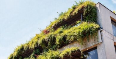 Un diseño moderno y sostenible florece