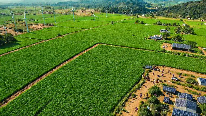 Latinoamérica: hidrógeno verde y energía sostenible