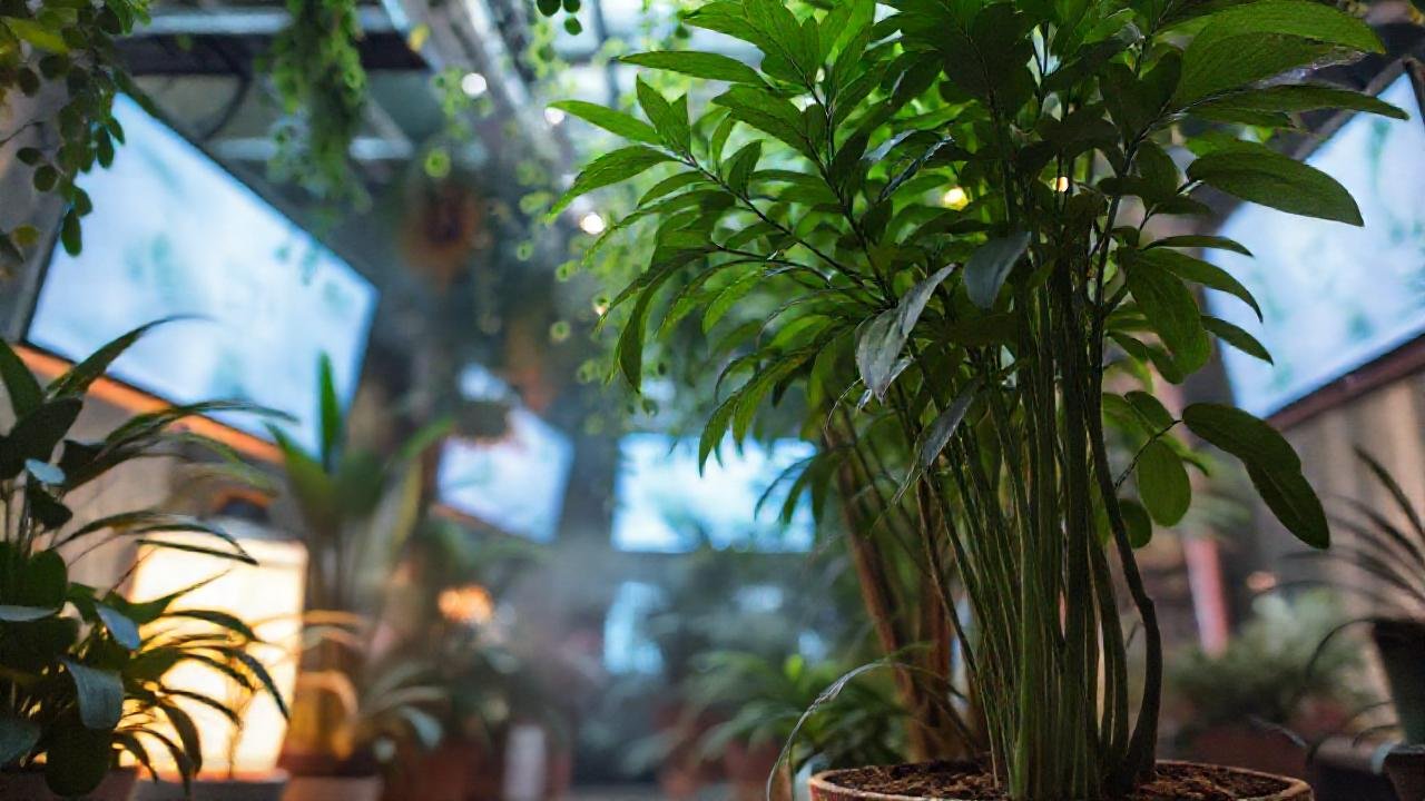 Espacio interior, calma y tecnología orgánica