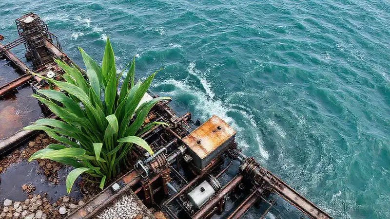 La industria costera procesa agua y maquinaria