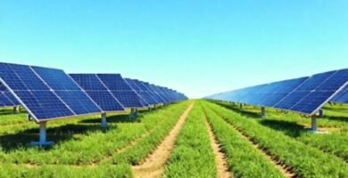 Paneles solares brillan en un futuro verde