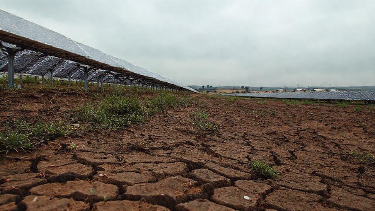 Campo solar descuidado genera inquietud