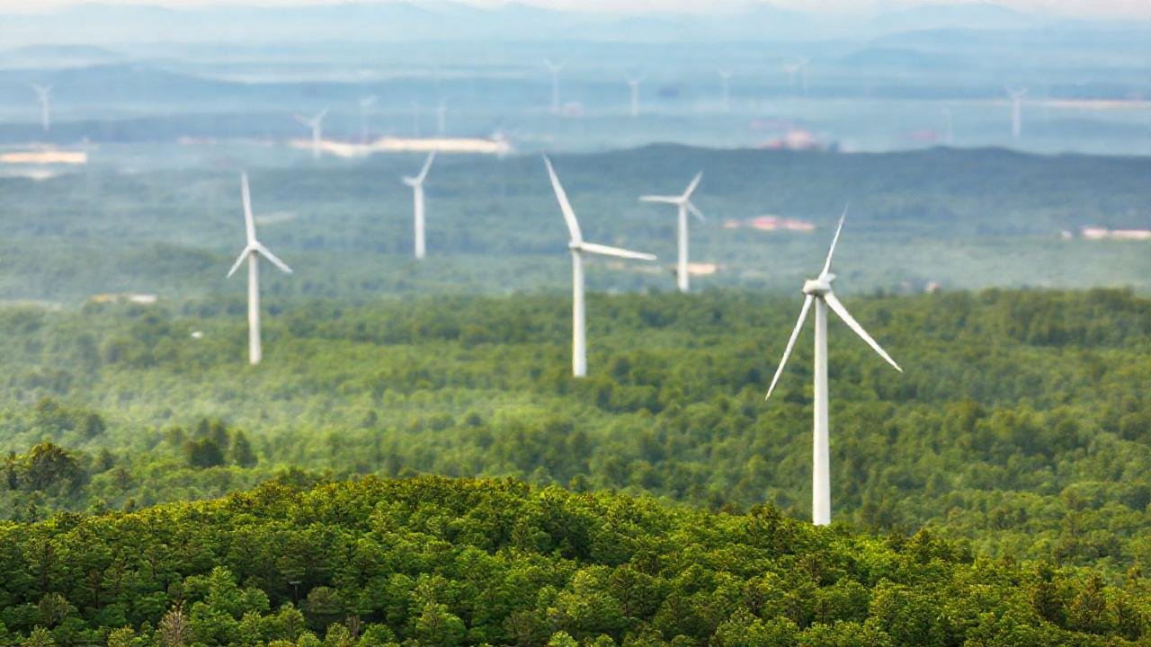 Turbinas y bosque crean serenidad visual