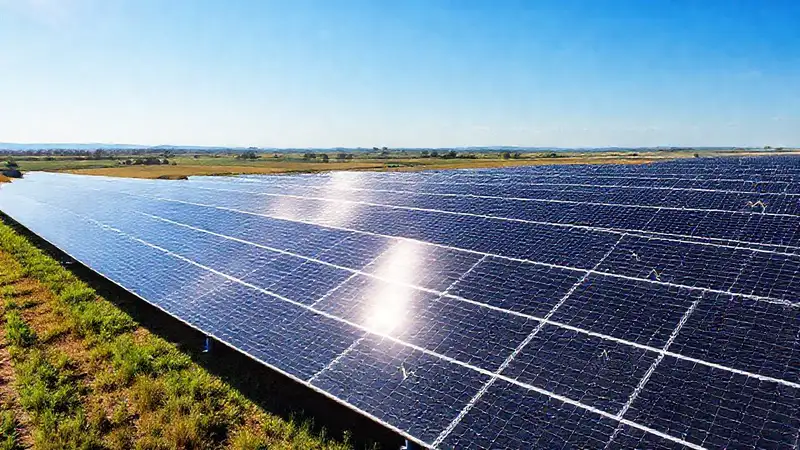 Paneles solares generan energía limpia y rentable