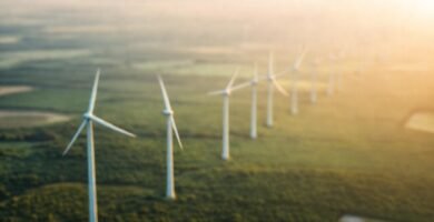 Turbinas eólicas generan energía sosteniblemente