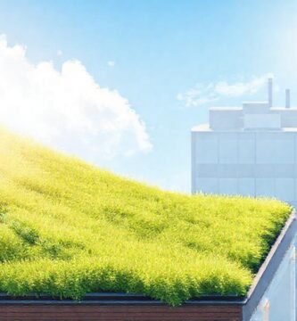 Techo verde reduce el efecto térmico urbano