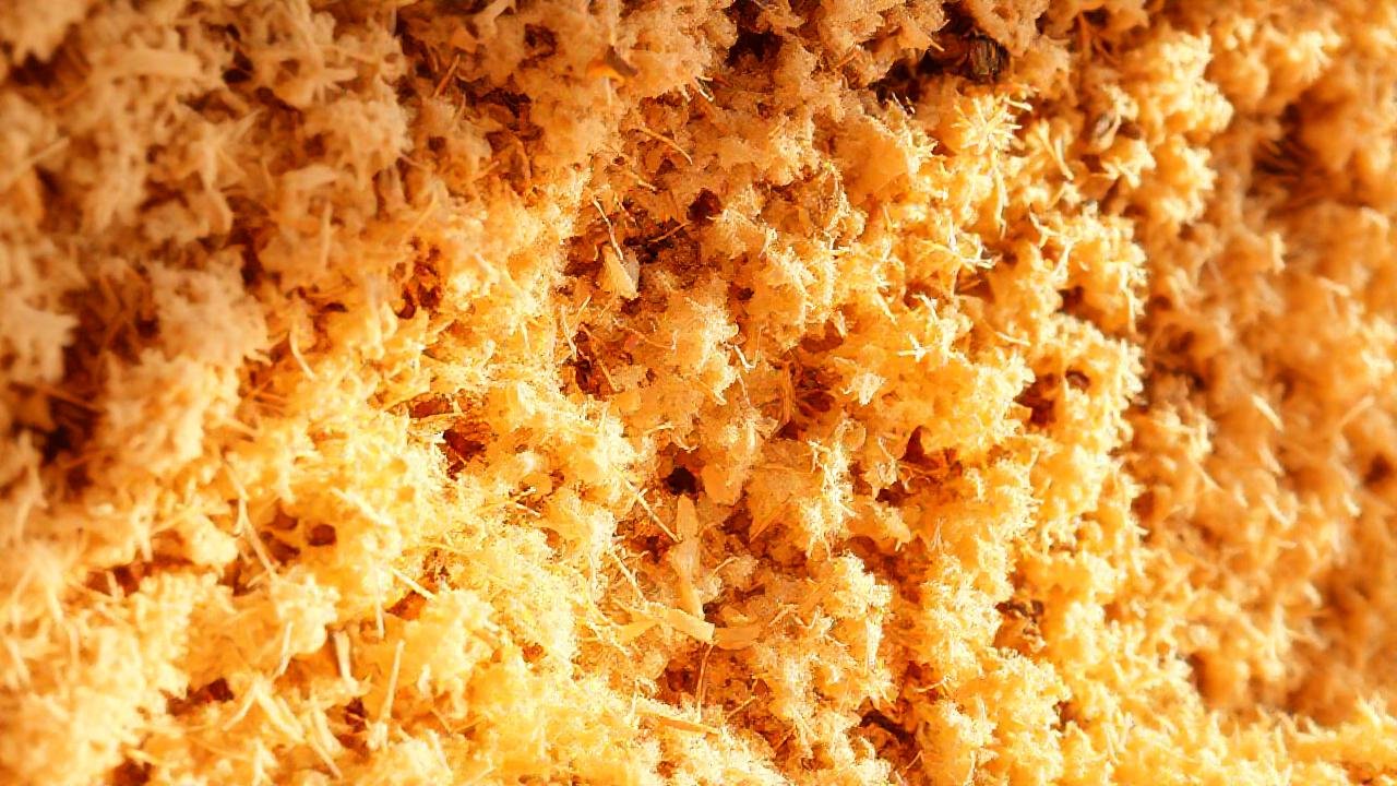 Diseño moderno, cálido y natural