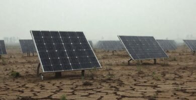 El mundo se desvanece en tonos grises