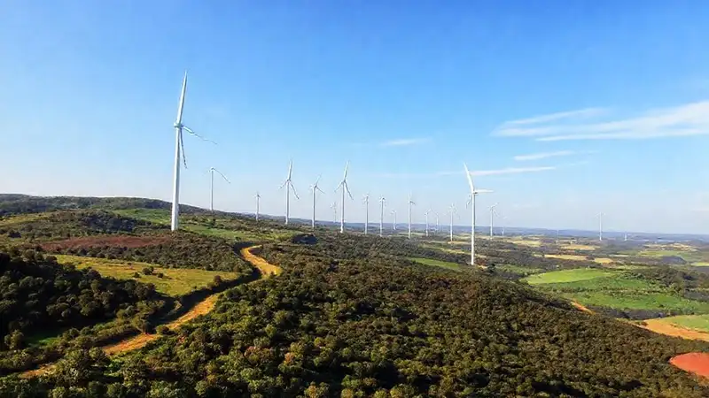 Turbinas eólicas crean energía sostenible y belleza