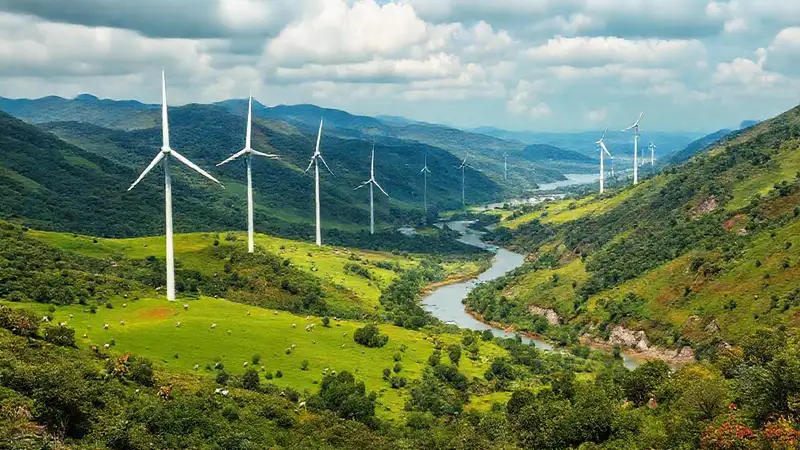 Turbinas eólicas integran un paisaje vibrante