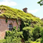 El edificio restaurado florece en belleza