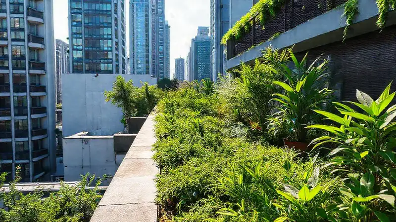 Jardín urbano en tejado: verde contrastante