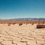 Resiliencia en un paisaje árido