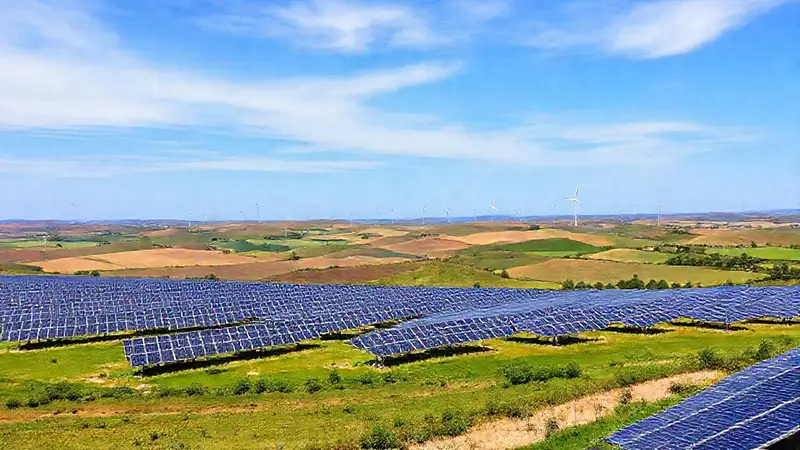 La granja solar resiliente abraza la biodiversidad