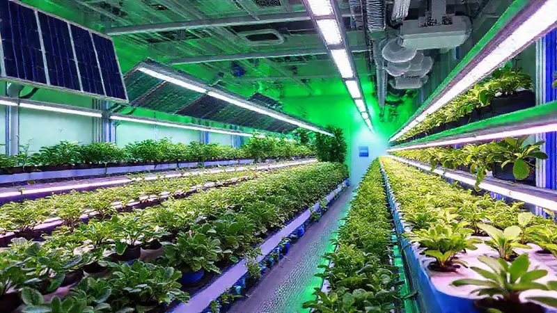 Agricultura hidropónica futurista y sostenible