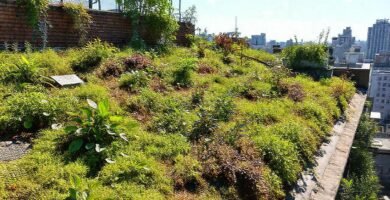 Techo verde: arquitectura sostenible y vibrante