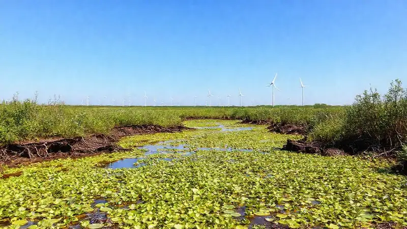 Restauración natural, esperanza y cielos azules